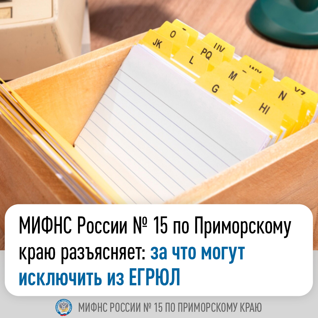 МИФНС России № 15 по Приморскому краю разъясняет: за что могут исключить из ЕГРЮЛ.