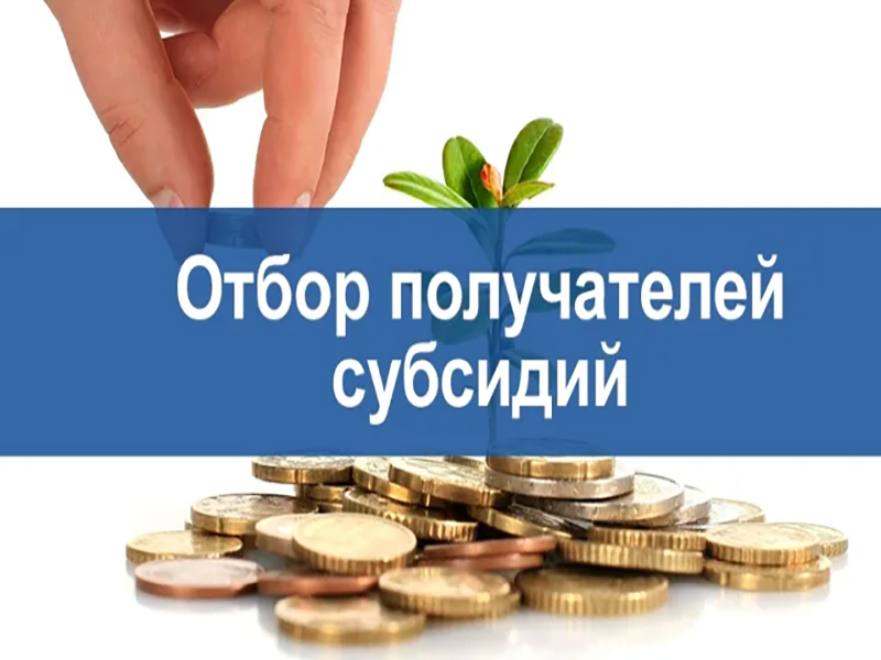 ПРАВИЛА ОТБОРА ПОЛУЧАТЕЛЕЙ СУБСИДИЙ, В ТОМ ЧИСЛЕ ГРАНТОВ В ФОРМЕ СУБСИДИЙ, ПРЕДОСТАВЛЯЕМЫХ ИЗ БЮДЖЕТОВ БЮДЖЕТНОЙ СИСТЕМЫ РОССИЙСКОЙ ФЕДЕРАЦИИ.