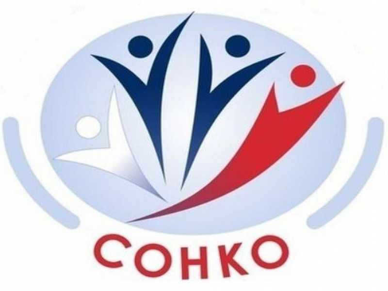 ПРОЕКТ МУНИЦИПАЛЬНОЙ ПРОГРАММЫ «ПОДДЕРЖКА СОЦИАЛЬНО ОРИЕНТИРОВАННЫХ НЕКОММЕРЧЕСКИХ ОРГАНИЗАЦИЙ В ГОРОДСКОМ ОКРУГЕ ЗАТО ФОКИНО И ОБЩЕСТВЕННОГО ПАРТНЕРСТВА НА 2025 – 2027 ГОДЫ».