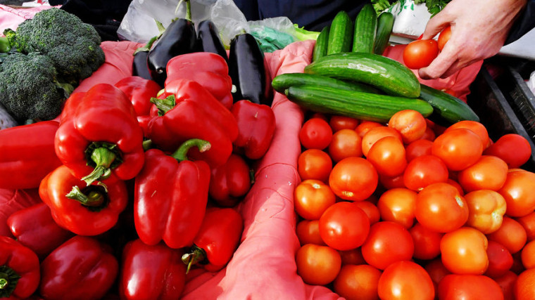 Продуктов местных производителей станет больше в школах и больницах Приморья. Продуктов местных производителей станет больше в школах и больницах Приморья.